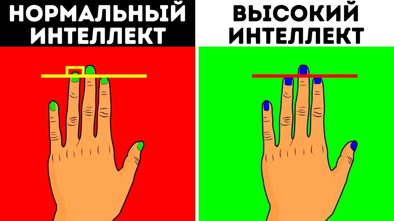 Признаки высокого интеллекта у человека
