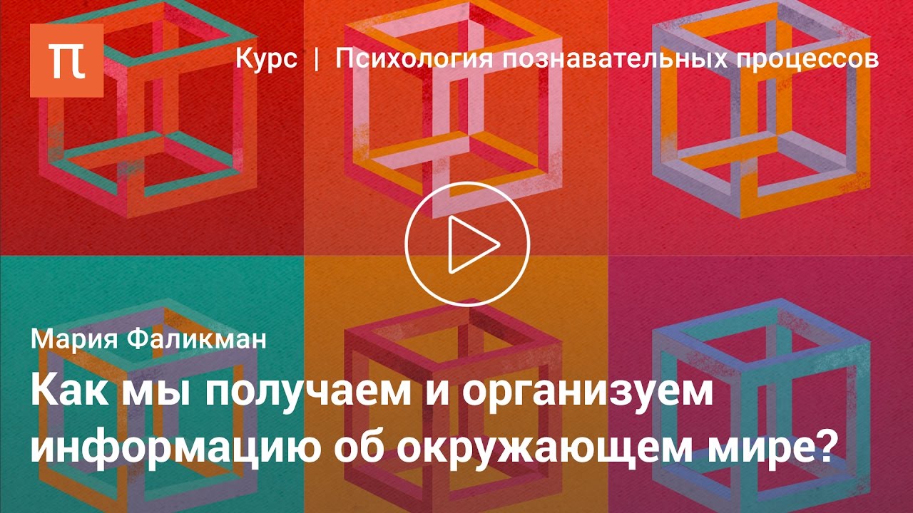 Познавательные процессы человека