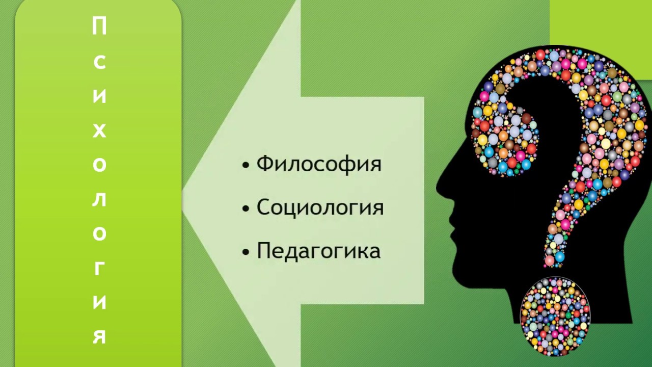 Связь психологии и других наук