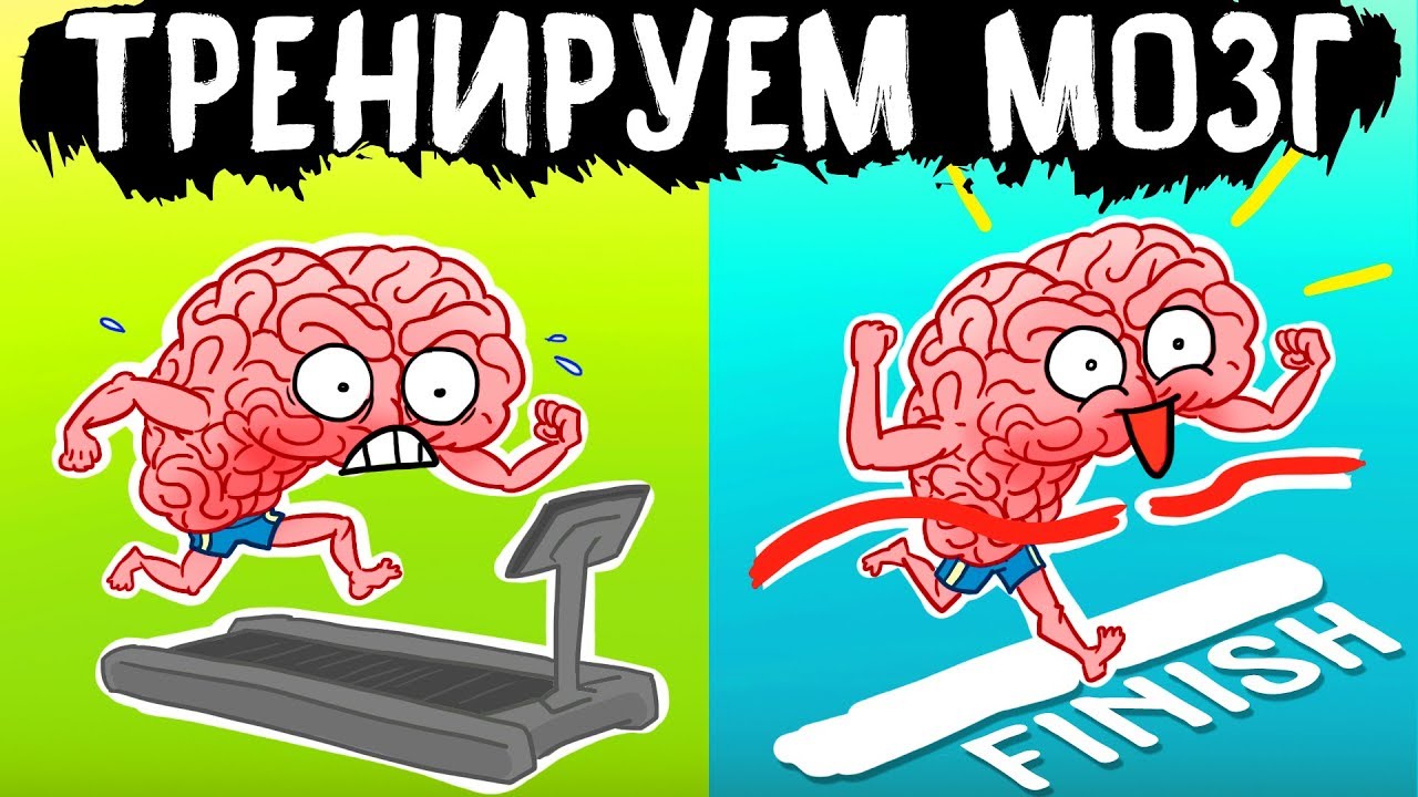 Как улучшить работу мозга?
