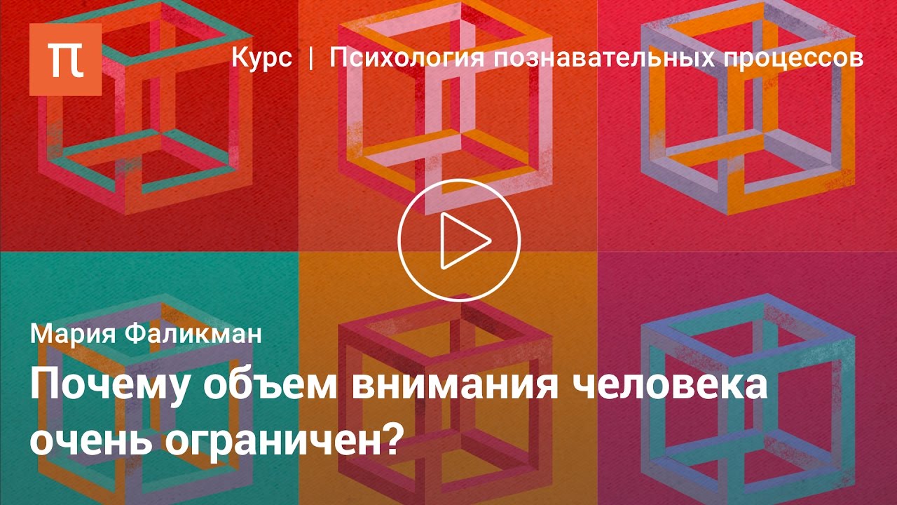 Виды и свойства внимания