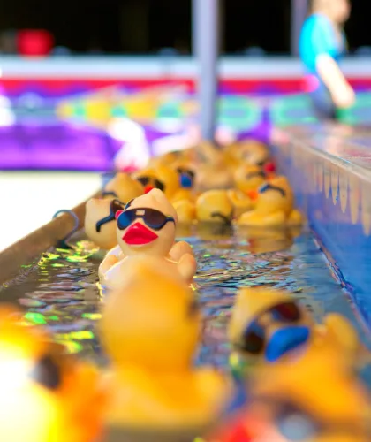 резиновые уточки